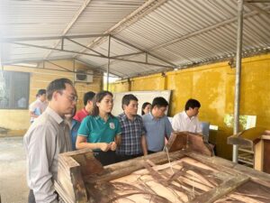 Thứ trưởng Hoàng Minh Sơn làm việc với tỉnh Thái Nguyên về khắc phục thiệt hại bão số 3