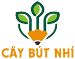 HVeducation